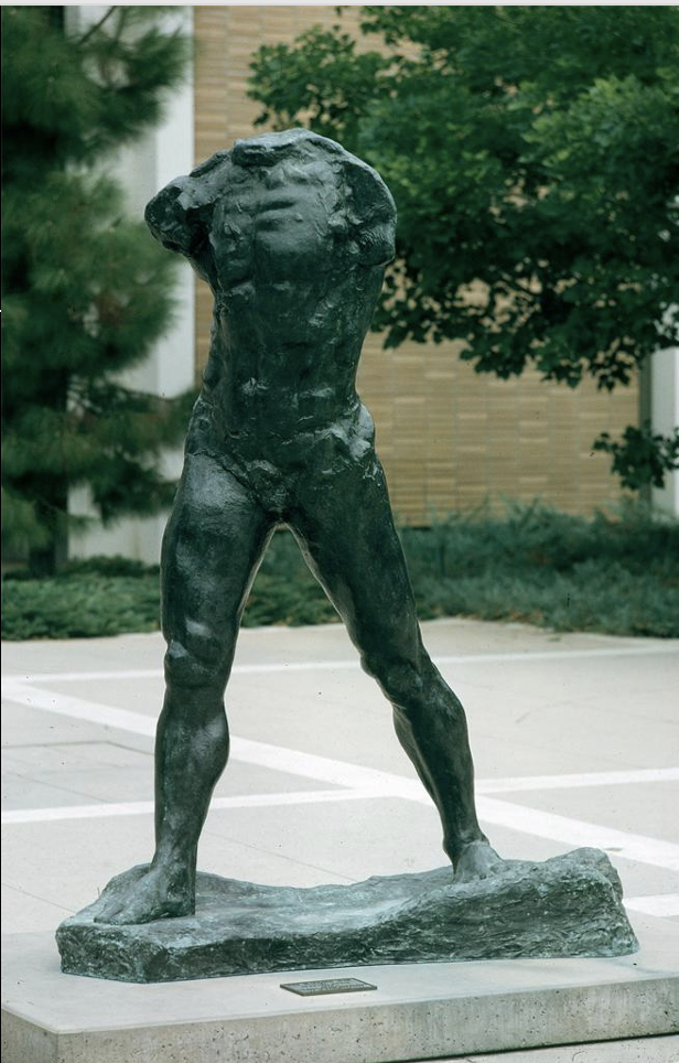 term image