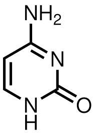 one of the pyrimidine bases found in nucleotides