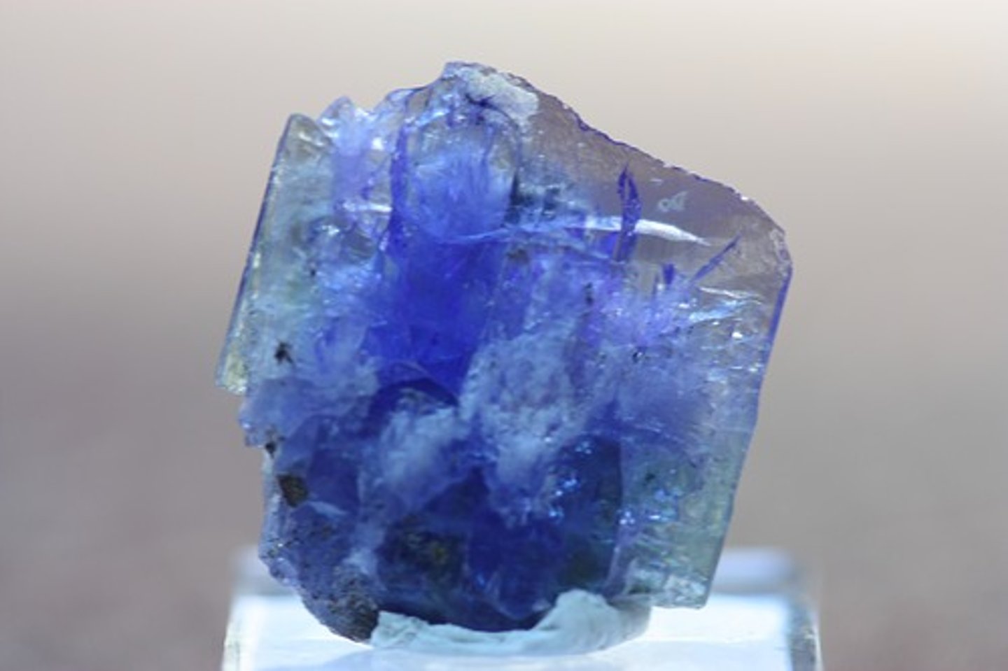 <p>Zircons (silicate minerals with gas inclusions) found in the Jack Hills, Australia</p>