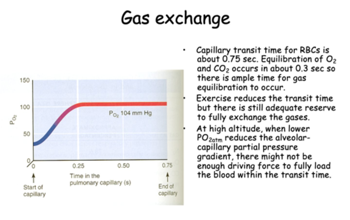 <p>0.3</p>