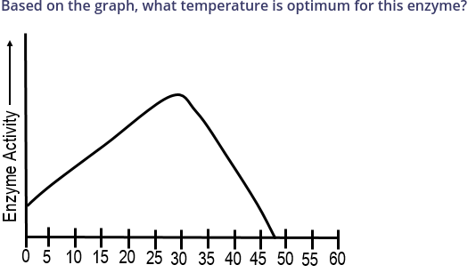 <p>Based on the graph, what temperature is optimum for this enzyme?</p>