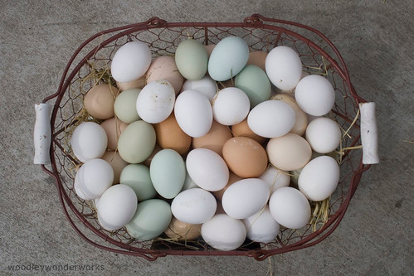 <p>Eggs</p>