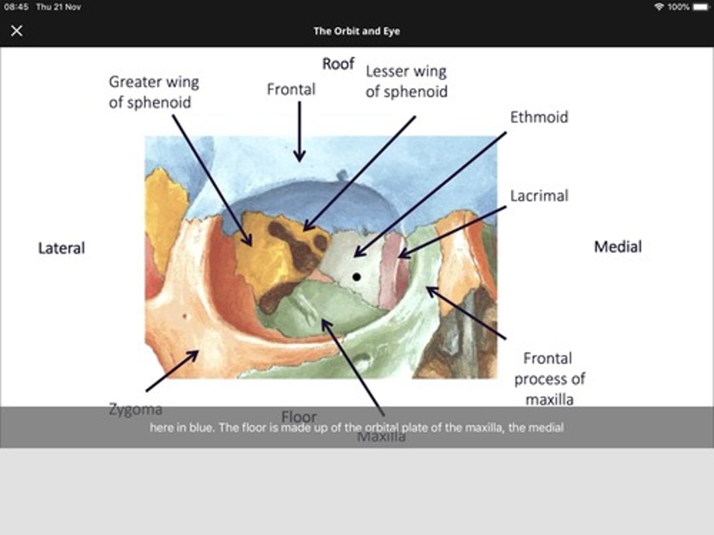 <p>Roof, Floor, Medial, Lateral.</p>