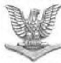 <p>eagle perched atop chevron</p>