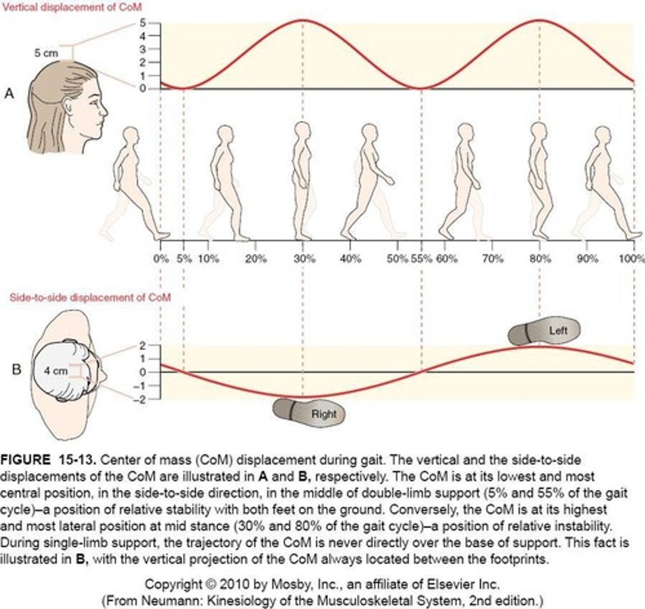 <p>Is approximately anterior to S2 vertebrae.</p>