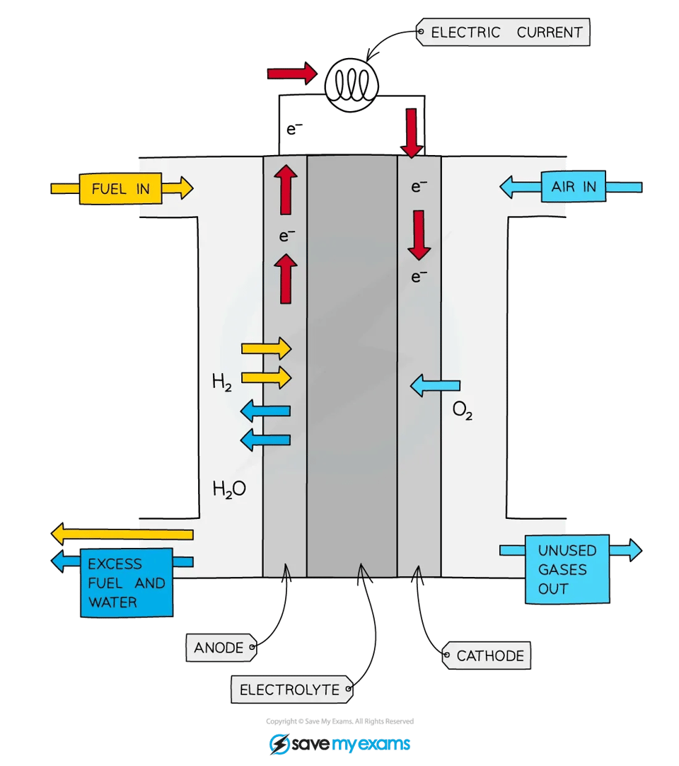 <ul><li><p>A reaction chamber with separate inlets for hydrogen and oxygen gas</p></li><li><p>An outlet for the product - water</p></li><li><p>An electrolyte of aqueous sodium hydroxide&nbsp;</p></li><li><p>A semi-permeable membrane that separates the hydrogen and oxygen gases</p><p>The half equations are</p></li></ul><p><strong>2H<sub>2 </sub>(g) + 4OH<sup>–</sup> (aq)&nbsp; →&nbsp; 4H<sub>2</sub>O (l)&nbsp;+&nbsp; 4e<sup>–&nbsp; &nbsp; &nbsp; &nbsp; &nbsp; &nbsp; &nbsp; &nbsp; &nbsp; &nbsp; &nbsp;</sup><em>E<sup>θ</sup> </em>= -0.83 V&nbsp;</strong></p><p><strong>O<sub>2 </sub>(g) +&nbsp; 2H<sub>2</sub>O&nbsp; +&nbsp; 4e<sup>–</sup> →&nbsp; 4OH<sup>–</sup> (aq)&nbsp; &nbsp; &nbsp; &nbsp; &nbsp; &nbsp; &nbsp; &nbsp; &nbsp; &nbsp; &nbsp; <em>E<sup>θ</sup></em>&nbsp;= +0.40 V&nbsp;</strong></p><ul><li><p>The overall reaction is found by combining the two half equations and cancelling the common terms:</p></li></ul><p><strong>2H<sub>2 </sub>(g) + 4OH<sup>–</sup> (aq) + O<sub>2 </sub>(g) +&nbsp; 2H<sub>2</sub>O&nbsp; &nbsp;+&nbsp; 4e<sup>–</sup> →&nbsp; &nbsp;4H<sub>2</sub>O (l)&nbsp;+&nbsp; 4e<sup>–</sup> + 4OH<sup>–</sup> (aq)</strong></p><p><strong>2H<sub>2 </sub>(g) + O<sub>2 </sub>(g)&nbsp; →&nbsp; &nbsp;2H<sub>2</sub>O<sub>&nbsp;</sub>(l)&nbsp; &nbsp; &nbsp; &nbsp; &nbsp; &nbsp;<em>E</em><sup>θ</sup> = +1.23 V</strong></p><p></p>