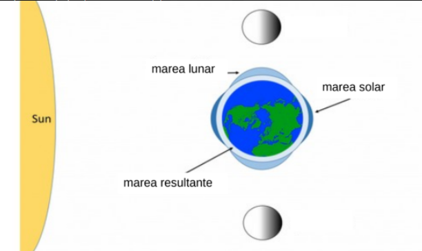 <p>como el sol puede potenciar las mareas lunres, tambien las puede achicar en los puntosdonde la tierra luna y sol estan en cuadratura</p><p>la fuerza de gravedad lunar es casi igual a la fuerza de gravedad solar en una posicion perpendicular, entonces es como si la tierra tuviese casi la misma fuerza de gravedad en su superficie</p>