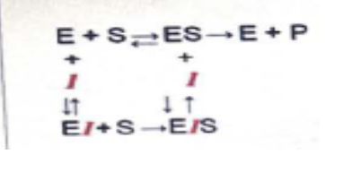 <p>observe the given scheme and predict the mode of inhibition</p><p></p>