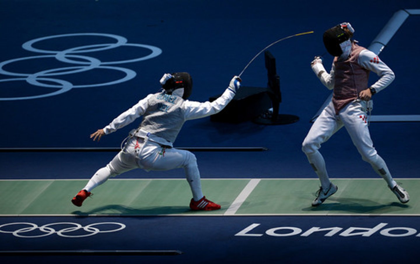 <p>fencing</p>