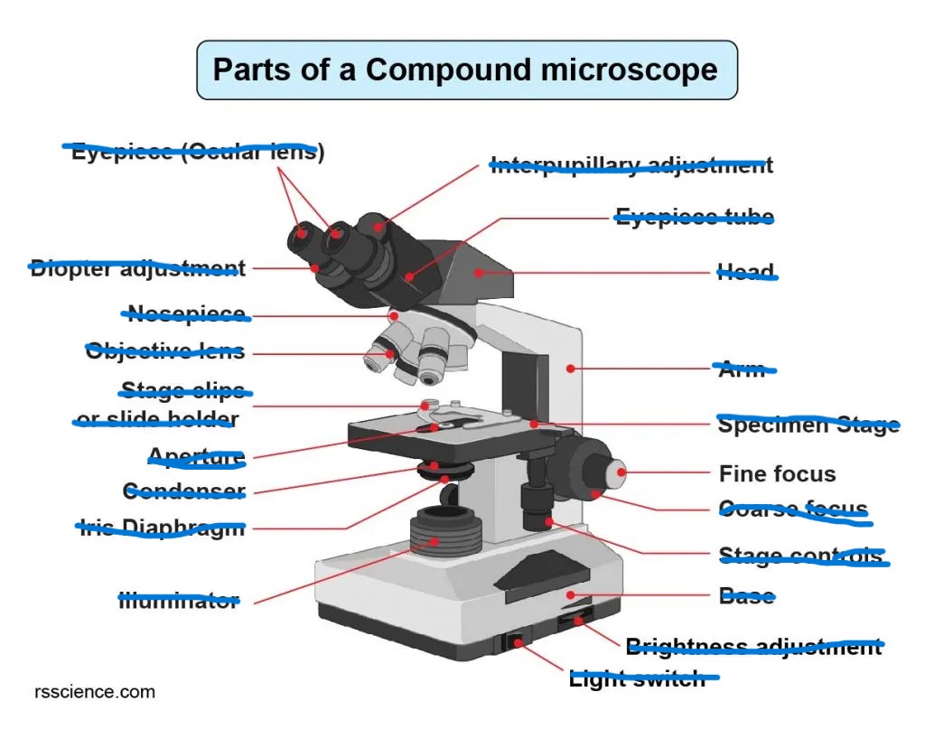<p>The smaller knob outside the Coarse adjustment knob that fine tunes the view of the specimen</p>