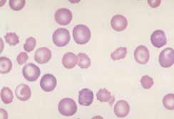 <p>What does this show?</p>