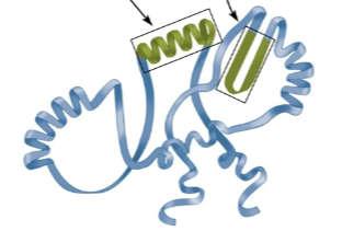 <p>Tertiary structure</p>