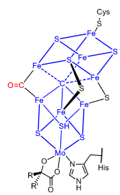 <p>What does this show us about the nitrogenase mechanism?</p>