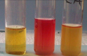 <p>What test is this?</p>