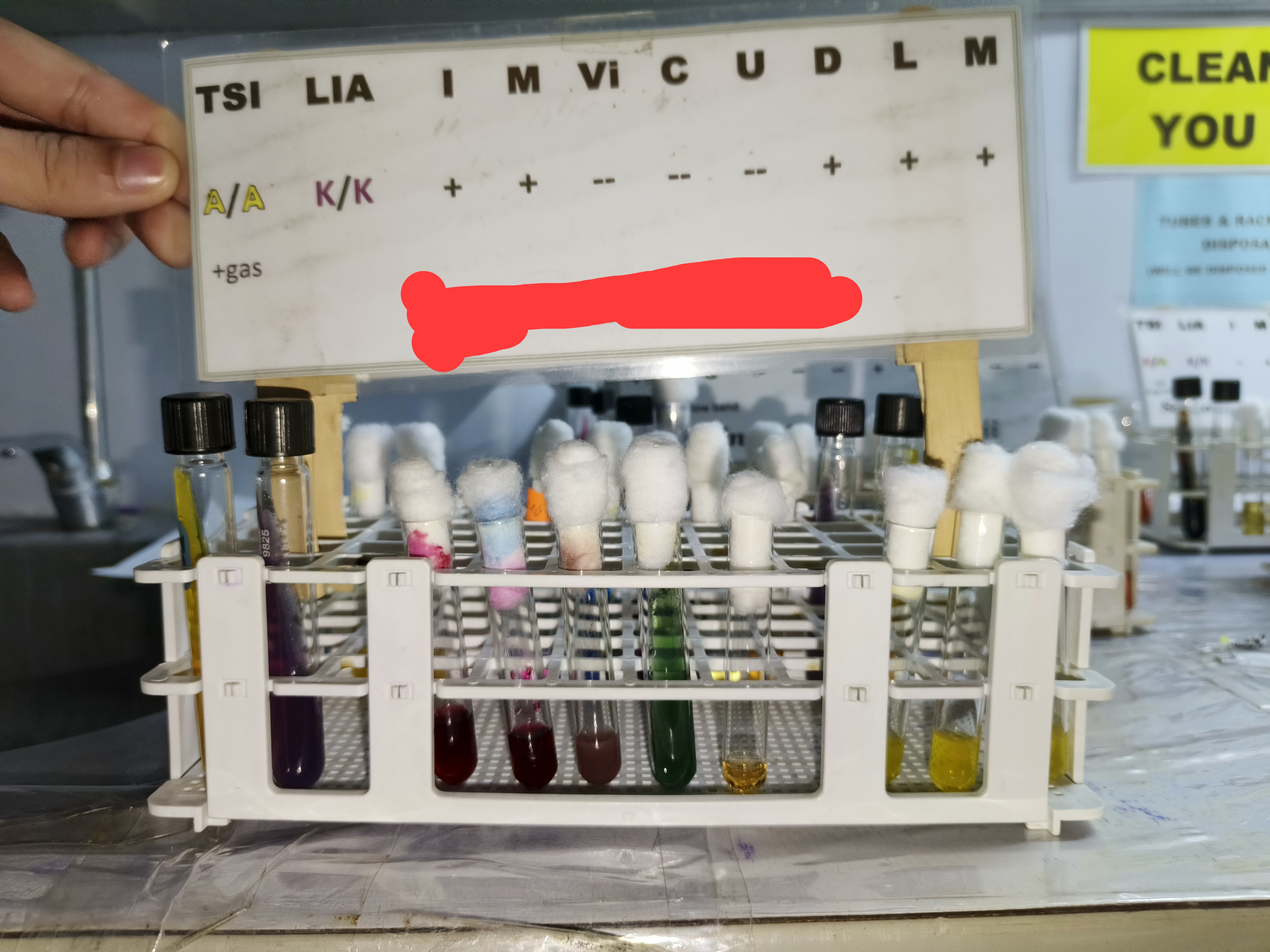 <p>Identify </p>