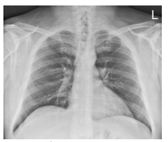 <p>What projection is this?</p>