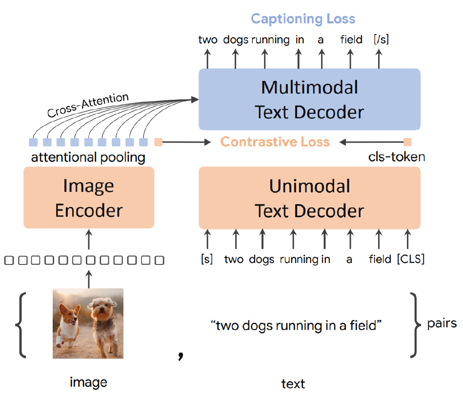 <p>= Contrastive Captioners</p><ul><li><p>a multi-modal model</p></li><li><p>embeds images and text into a joint embedding space for contrastive learning</p></li><li><p>the model can use both modalities for few-shot learning and retrieval tasks → e.g. image captioning or based on a text prompt finding the most relevant images from a database</p></li><li><p>the image encoder is run only once, while the text decoders are run for each generated token</p></li><li><p>The image encodings serve as the keys and values, while the unimodal text decoder’s current output is the query</p></li></ul><p></p>
