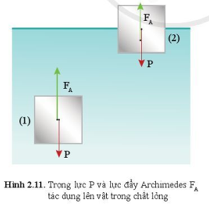 <p>Là lực của chất lỏng đẩy từ dưới lên khi một vật được đặt trong chất lỏng</p>