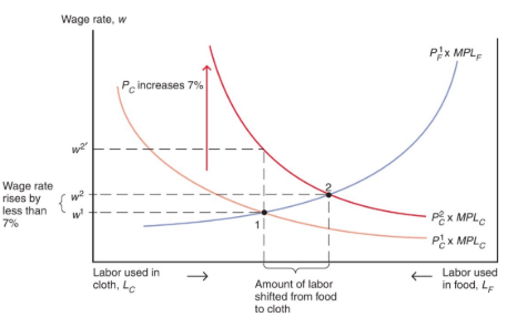 <p>the cloth labor demand curve rises in proportion to the 7% increase in P<sub>c</sub>, but the wage rates rise less than proportionately. labor moves from the food sector to the cloth sector. output of cloth rises; output of food falls</p>
