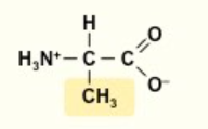 <p>A</p><p>nonpolar</p><p></p>