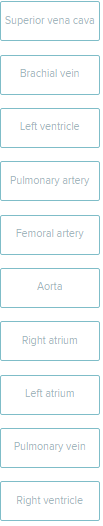 <p>Place the following cardiovascular structures in the appropriate category indicating whether they carry oxygen-rich or oxygen-poor blood.</p><p><br></p>