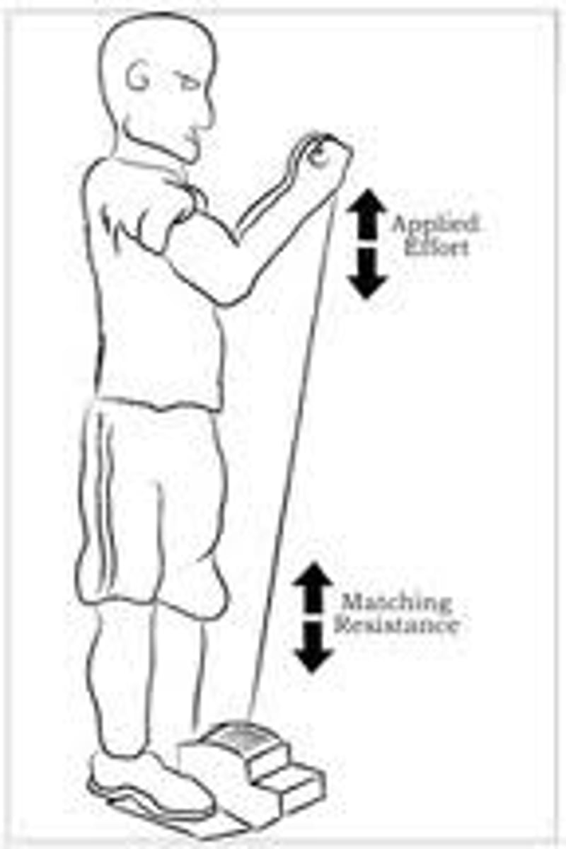 <p>isokinetic contraction</p>