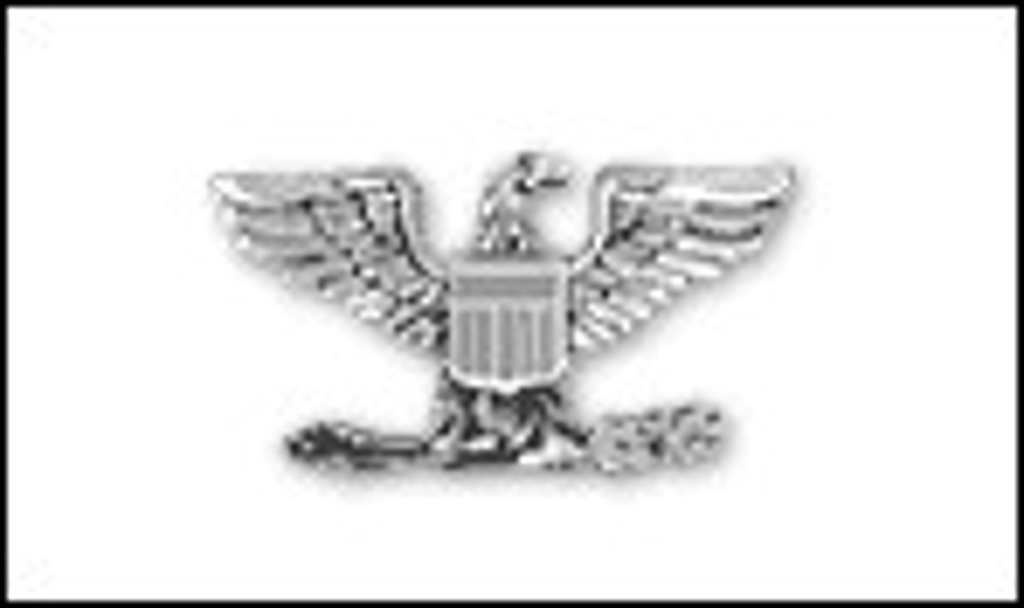 <p>Silver eagle O-6</p>