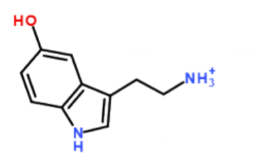 <p>What is this a picture of?</p>