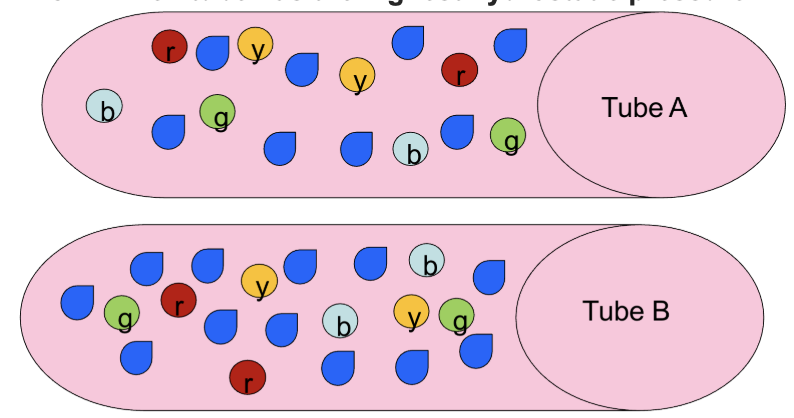 <p><span>Which tube has the highest hydrostatic pressure?</span></p>