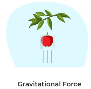 <p><span>a force that one object can apply to another object without touching it (examples: gravity, magnetic force, electric force)</span></p>