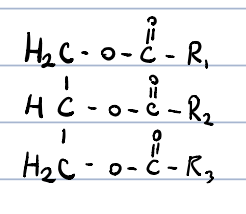 esters of long chain fatty acids and trivalent alcohols

fats: solid triacylglycerols at room temperature, contain mostly saturated fatty acids

oils: liquids at room temperature, contain mostly unsaturated fatty acids. geometry of the double bond is cis