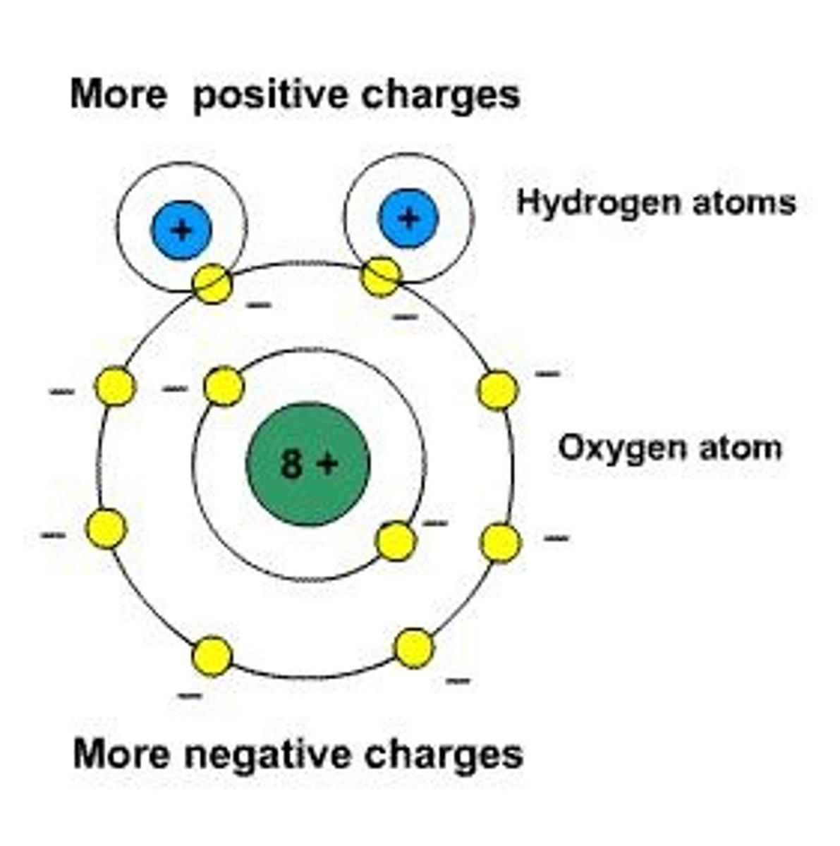 <p>A molecule with partial charges on the poles that attract to opposite charges on other molecules nearby.</p>