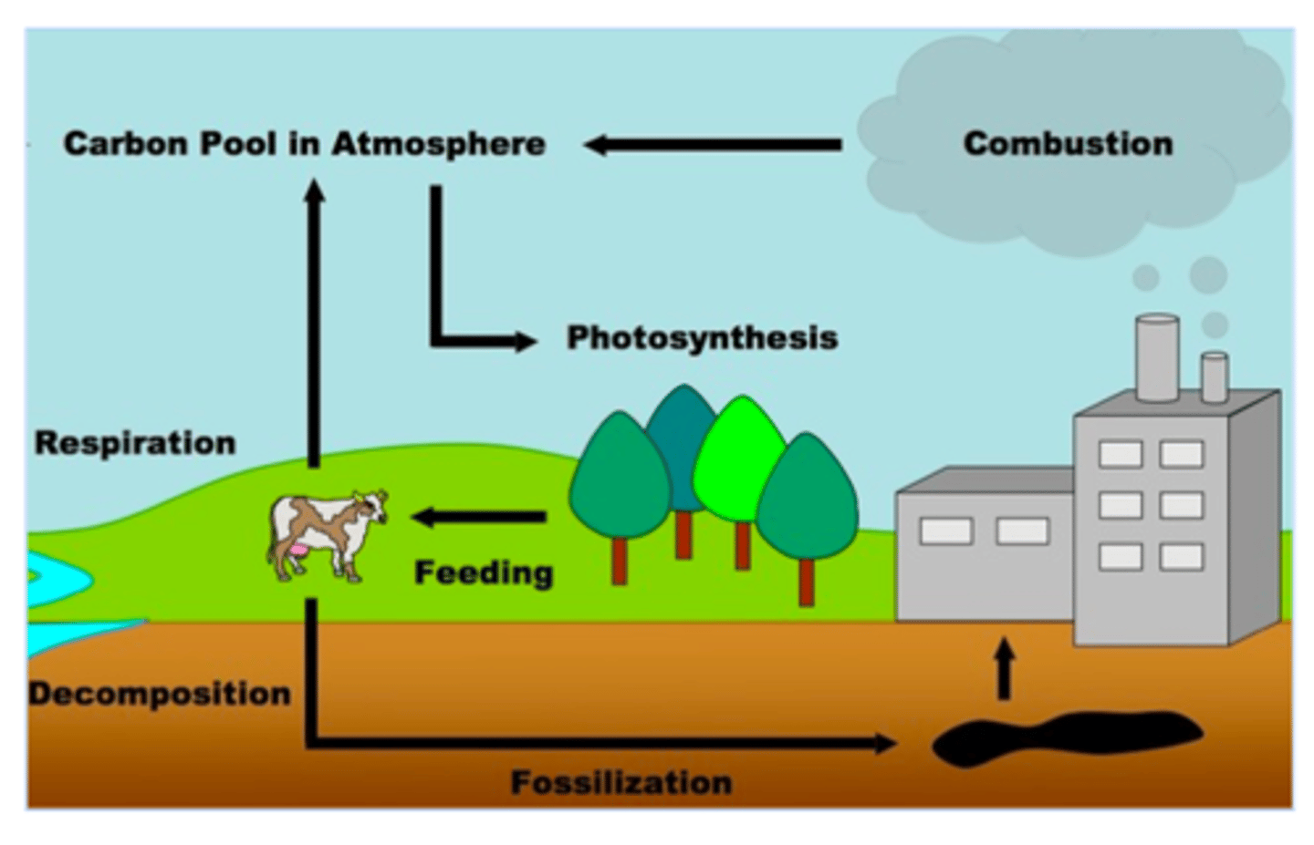 knowt flashcard image