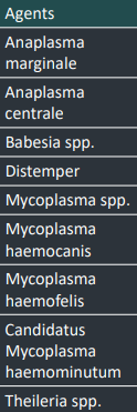 <p>Regenerative anaemia - Infectious</p><p>Presence/Absence of organism?</p><p>Degree of clinical dz?</p><p>Many of the infectious agents have?</p><p>Don’t confuse what with agents?</p>
