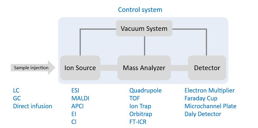<ul><li><p>Sample injection</p><ul><li><p>LC: Liquid Chromatography</p></li><li><p>GC: Gas Chromatography</p></li></ul></li><li><p>Ion source: converts molecules into ions</p><ul><li><p>ESI: Electrospray Ionisation</p></li><li><p>MALDI: (Matrix-Assisted Laser Desorption/Ionisation)</p></li><li><p>APCI: Atmospheric Pressure Chemical Ionization</p></li><li><p>EI/CI: Electron/Chemical Ionisation</p></li></ul></li><li><p>Mass analyser: separates ions based on mass-to-charge ration (m/z)</p><ul><li><p>Quadrupole</p></li><li><p>TOF: Time-of-Flight</p></li><li><p>Ion trap</p></li><li><p>Orbitrap</p></li><li><p>FT-ICR: Fourier Transform Ion Cyclotron Resonance</p></li></ul></li></ul><p></p>