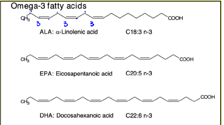 <p>means that first double bond is on the third carbon. it is an unsaturated cis fat so has many health benefits</p>