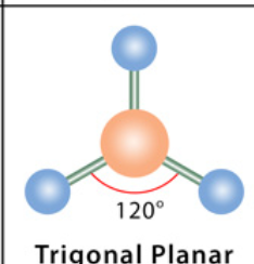 <p>3 electron domains, no lone pair </p>