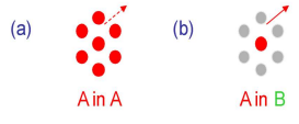 <p>Analytes elute in order of their boiling points.</p><ul><li><p>Molecules with similarity to the stationary phase are retained more strongly.</p></li><li><p>e.g. in case (b) the molecule is less strongly retained so has a higher tendency to escape into the vapour phase.</p></li></ul><p></p>