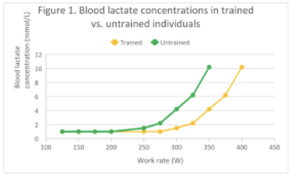 <ul><li><p><span><span>Training to increase your LIP allows you to sustain higher aerobic intensities for longer periods, improving endurance performance by delaying the shift to anaerobic glycolysis.</span></span></p></li></ul><ul><li><p><span style="background-color: transparent;"><span>Can improve the lactate threshold though training of the anaerobic system, since the body and muscles can more effectively get rid of lactic acid</span></span></p></li></ul><p></p>