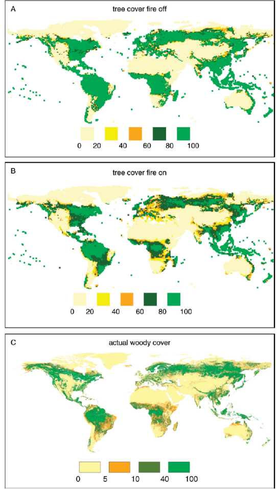 <p>What does Fig 6.4, going from A→B→C→ indicate?</p>