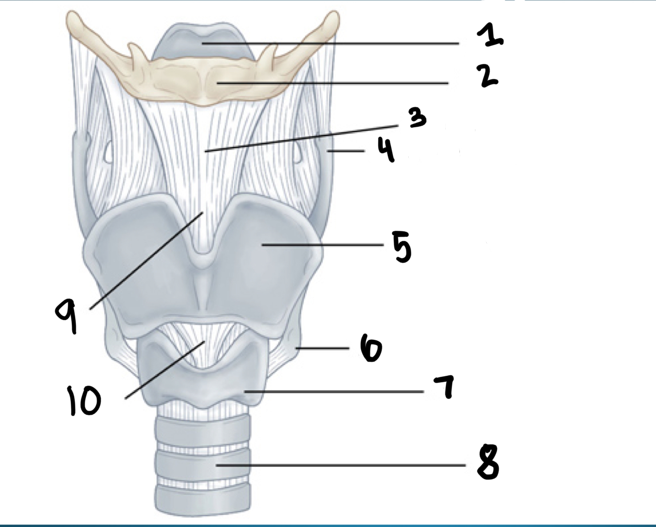 <p>what is #5</p>
