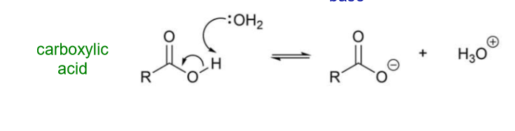 <p>Breaking the O-H bond results in the formation of an oxygen anion and a proton</p>