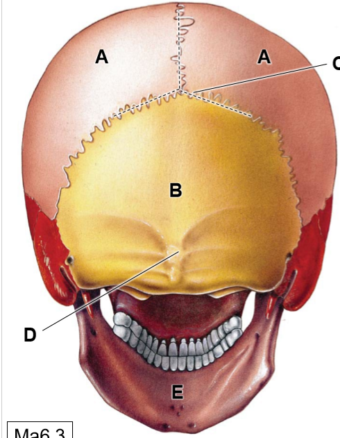 <p>A-E</p>