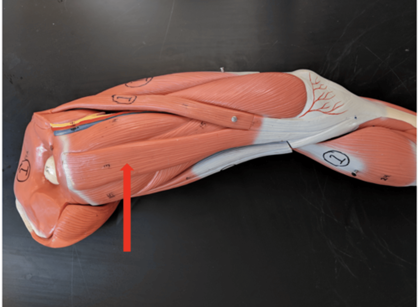 <p>what is this?</p>