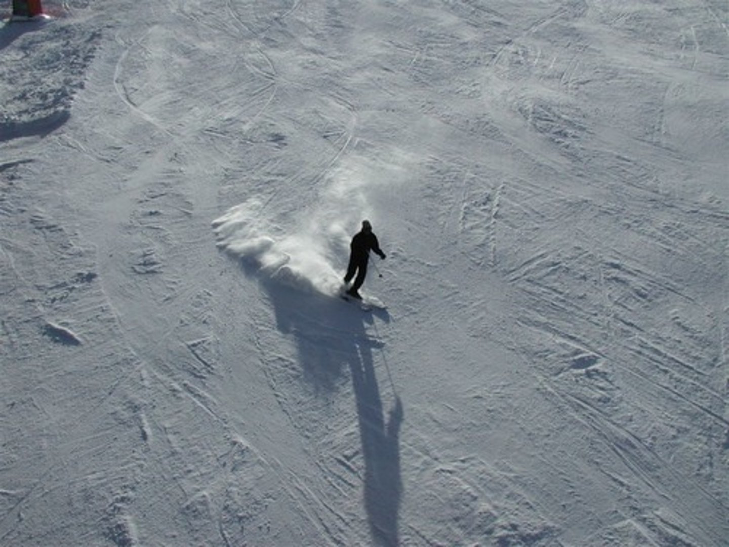 <p>to backcountry ski</p>