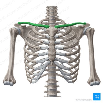 <p>What does this structure correspond with?</p>