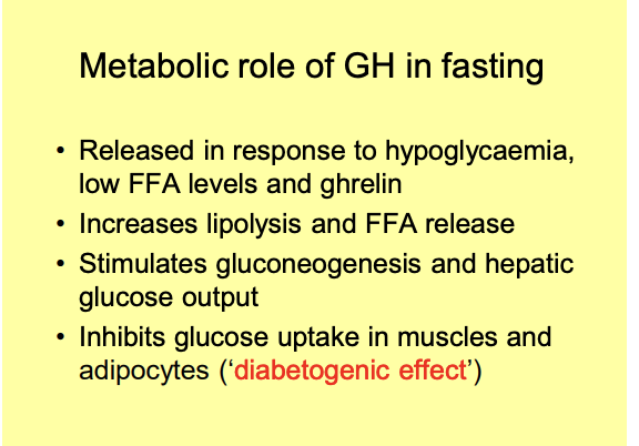 <p>Preserve glucose for the brain:</p><ol><li><p>by switching the metabolism of peripheral tissues<strong> towards</strong> the use of FFAs</p></li><li><p>promoting gluconeogenesis</p></li></ol><p></p>