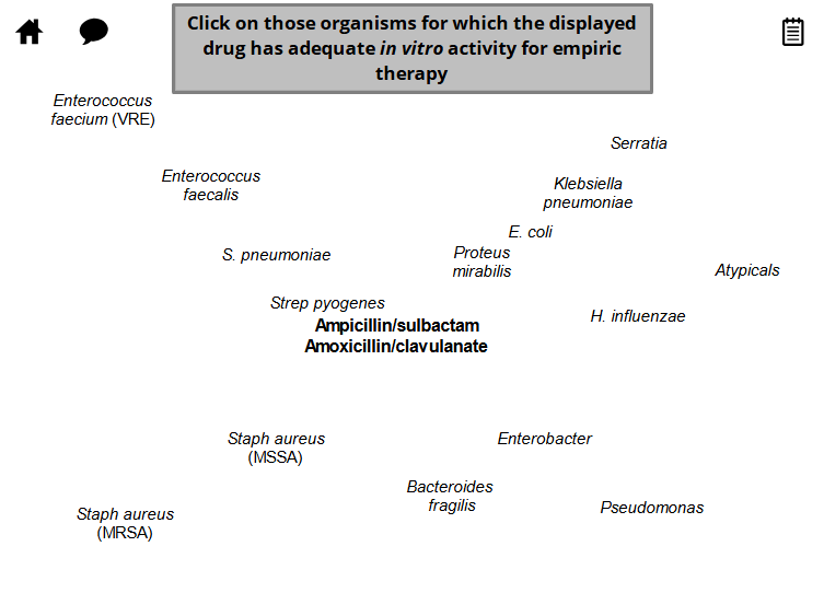 <p>Amoxicillin/Clavulanate (Ampicillin/Sulbactam)</p>