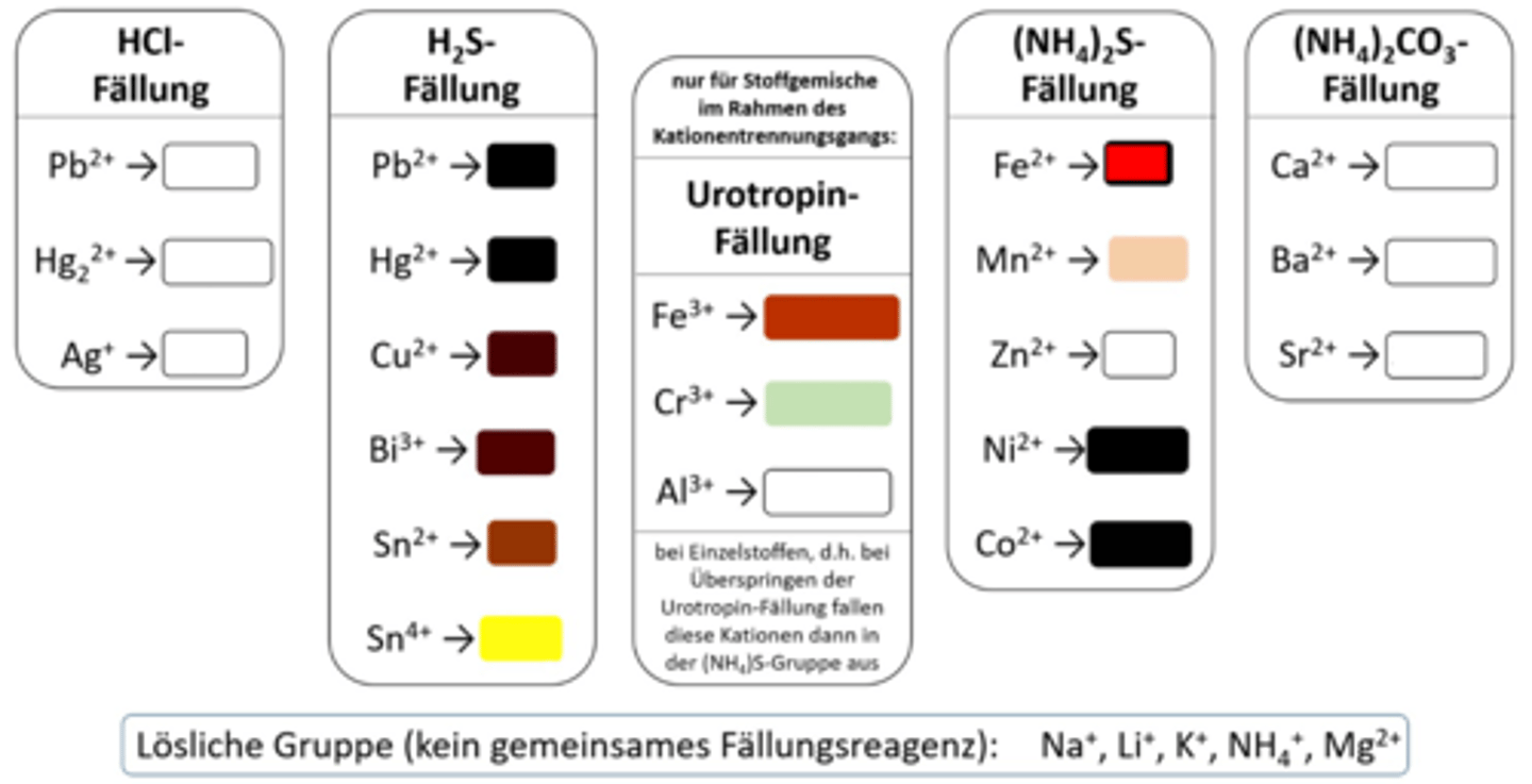 <p>Fe²⁺ NS</p>