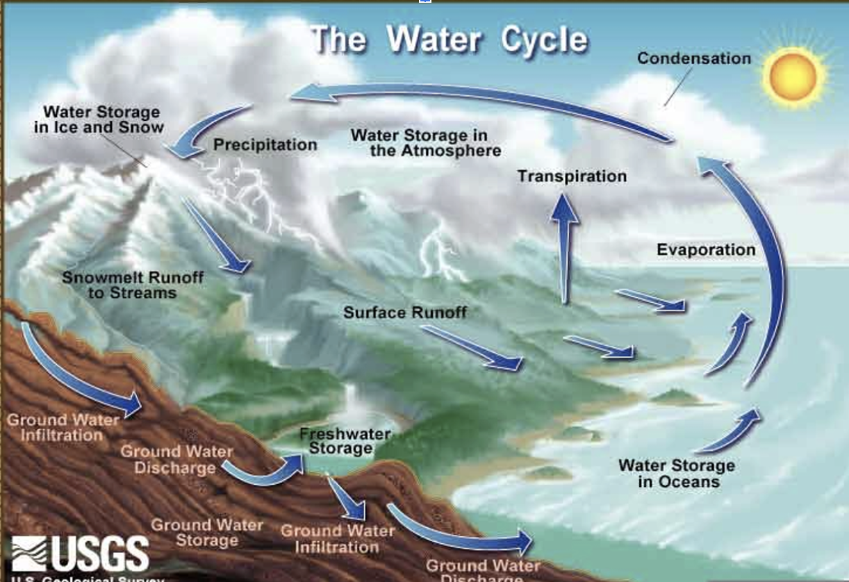 Precipitation, evaporation, transpiration, runoff, infiltration
